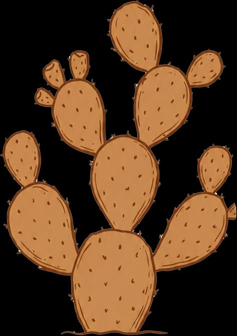 Small prickly pear cactus